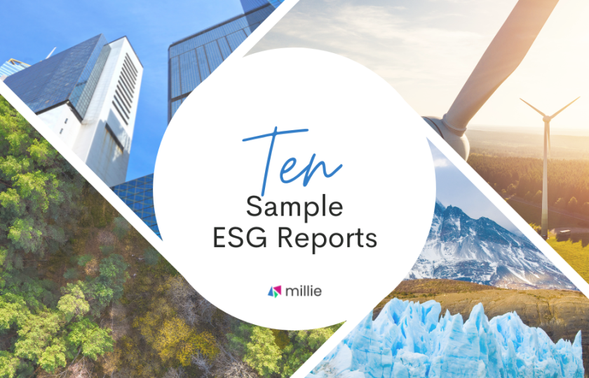 10 Sample ESG Reports